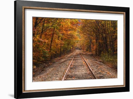 Autumn Tracks into Fall, Bartlett, New Hampshire-Vincent James-Framed Photographic Print