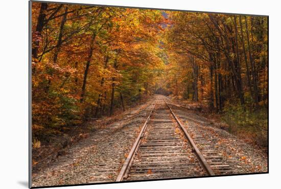 Autumn Tracks into Fall, Bartlett, New Hampshire-Vincent James-Mounted Photographic Print