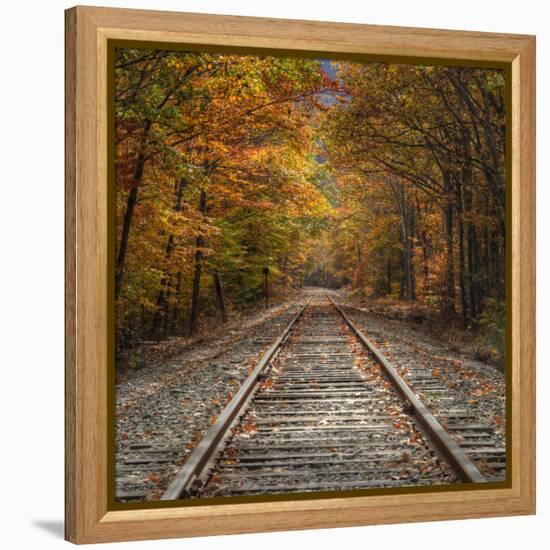 Autumn Tracks (Square), New Hampshire-Vincent James-Framed Premier Image Canvas