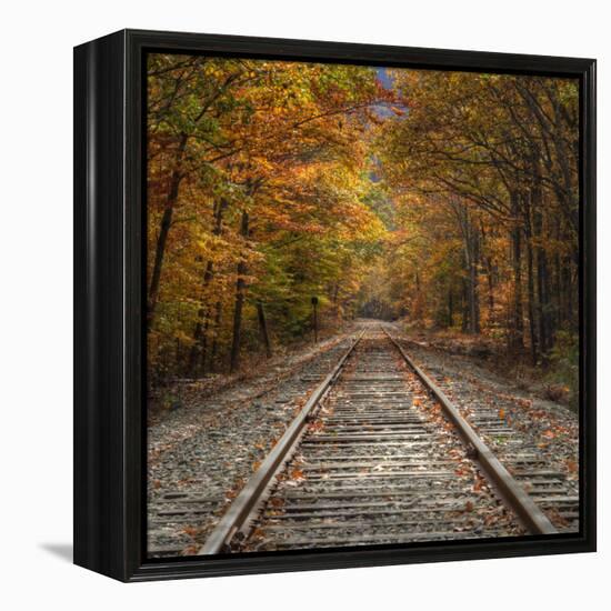 Autumn Tracks (Square), New Hampshire-Vincent James-Framed Premier Image Canvas