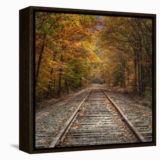 Autumn Tracks (Square), New Hampshire-Vincent James-Framed Premier Image Canvas