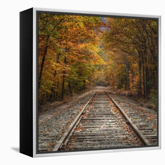 Autumn Tracks (Square), New Hampshire-Vincent James-Framed Premier Image Canvas