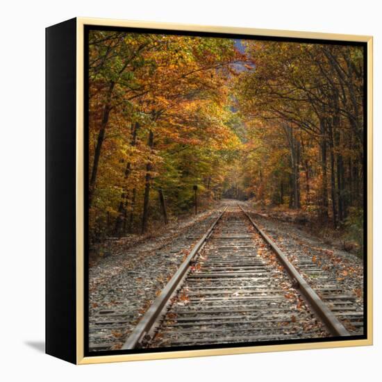 Autumn Tracks (Square), New Hampshire-Vincent James-Framed Premier Image Canvas