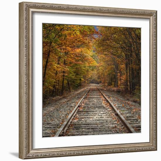 Autumn Tracks (Square), New Hampshire-Vincent James-Framed Premium Photographic Print