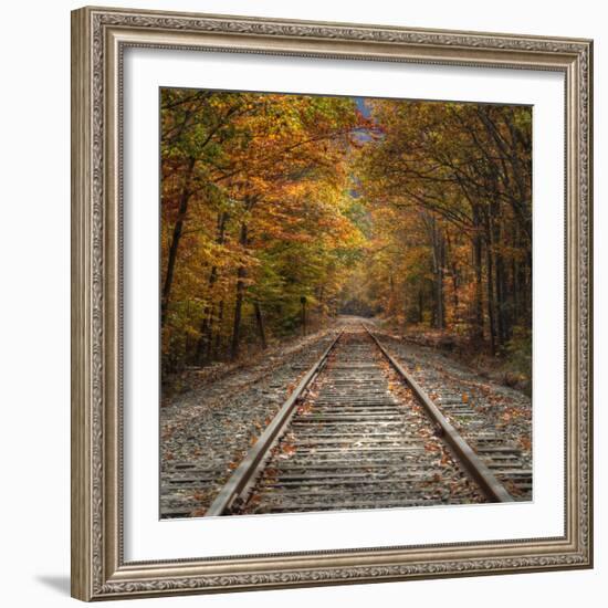 Autumn Tracks (Square), New Hampshire-Vincent James-Framed Photographic Print