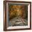 Autumn Tracks (Square), New Hampshire-Vincent James-Framed Photographic Print