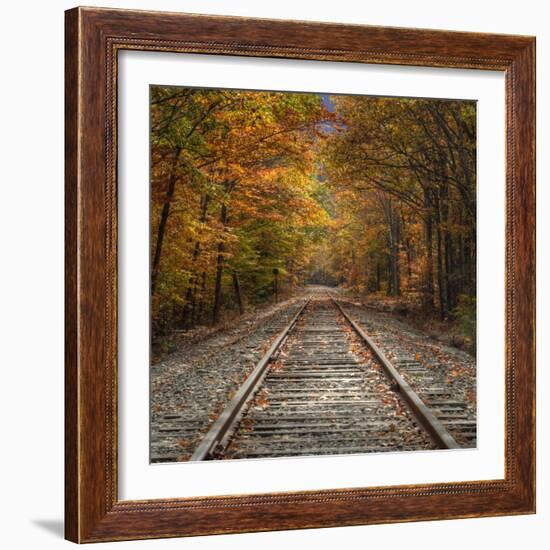 Autumn Tracks (Square), New Hampshire-Vincent James-Framed Photographic Print