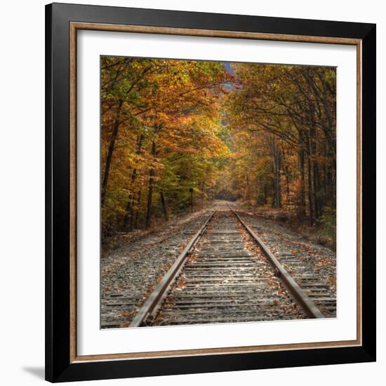 Autumn Tracks (Square), New Hampshire-Vincent James-Framed Photographic Print