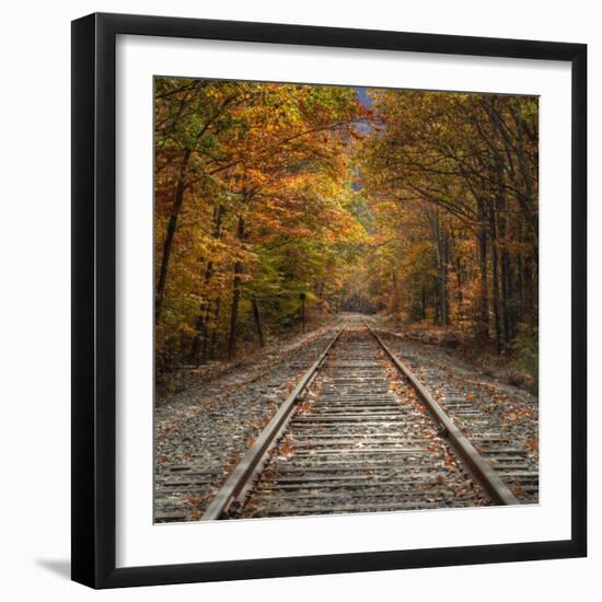 Autumn Tracks (Square), New Hampshire-Vincent James-Framed Photographic Print