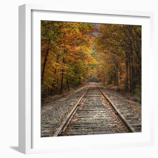 Autumn Tracks (Square), New Hampshire-Vincent James-Framed Photographic Print