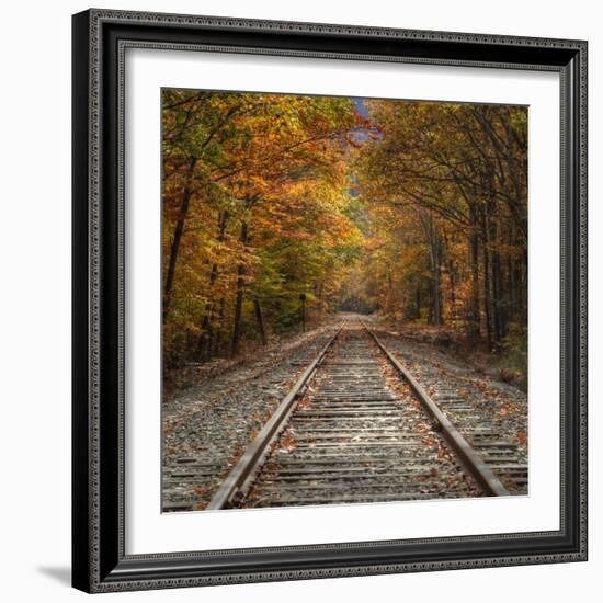 Autumn Tracks (Square), New Hampshire-Vincent James-Framed Photographic Print