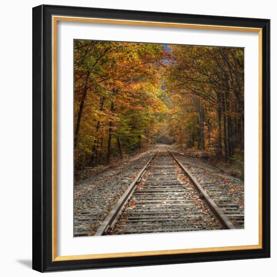 Autumn Tracks (Square), New Hampshire-Vincent James-Framed Photographic Print