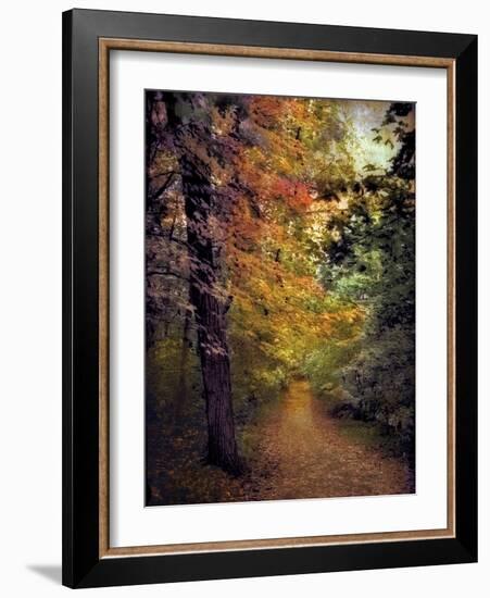 Autumn Trail-Jessica Jenney-Framed Photographic Print