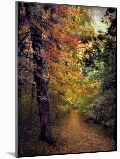 Autumn Trail-Jessica Jenney-Mounted Photographic Print