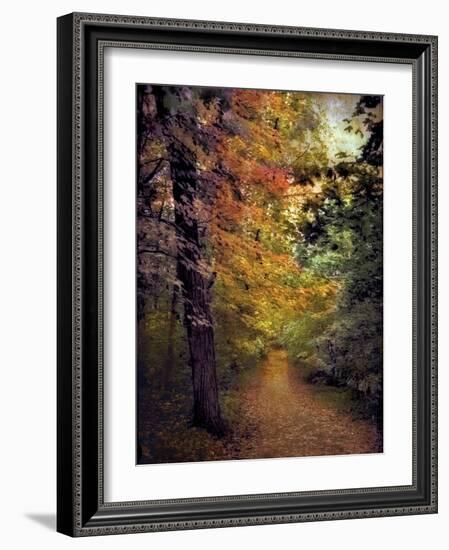Autumn Trail-Jessica Jenney-Framed Photographic Print
