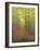 Autumn Trail-Bruce Dumas-Framed Giclee Print