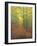 Autumn Trail-Bruce Dumas-Framed Giclee Print