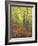 Autumn Trail-Bruce Dumas-Framed Giclee Print