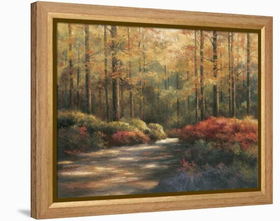 Autumn Trail-TC Chiu-Framed Stretched Canvas