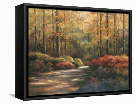 Autumn Trail-TC Chiu-Framed Stretched Canvas