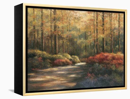 Autumn Trail-TC Chiu-Framed Stretched Canvas