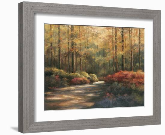 Autumn Trail-TC Chiu-Framed Art Print