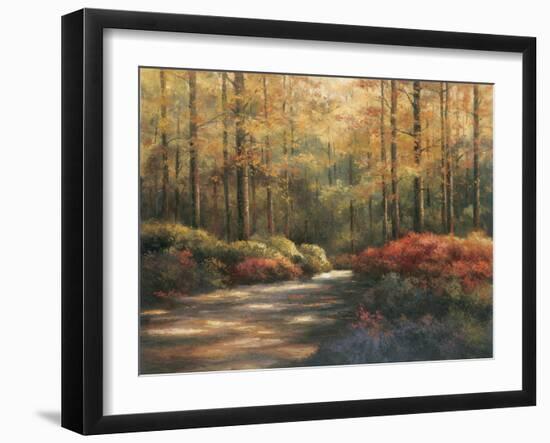 Autumn Trail-TC Chiu-Framed Art Print