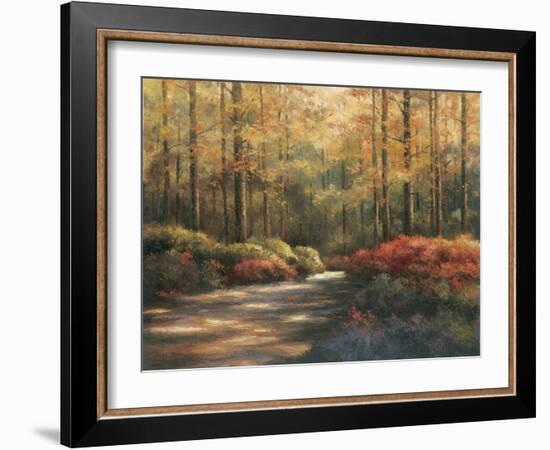 Autumn Trail-TC Chiu-Framed Art Print