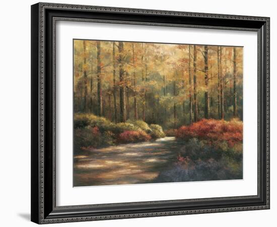 Autumn Trail-TC Chiu-Framed Art Print