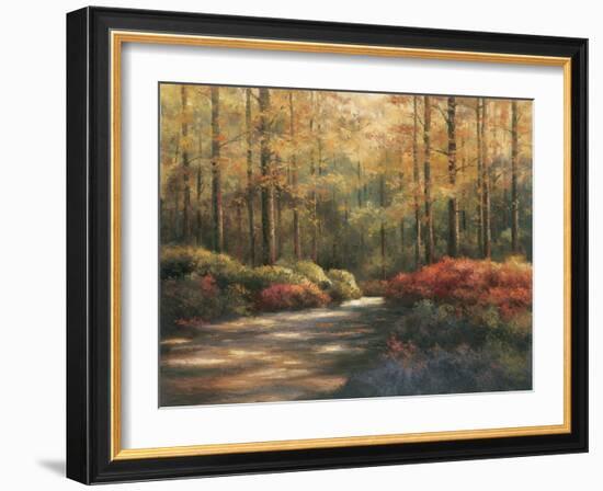 Autumn Trail-TC Chiu-Framed Art Print