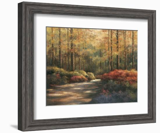 Autumn Trail-TC Chiu-Framed Art Print