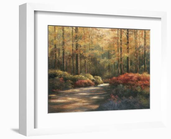 Autumn Trail-TC Chiu-Framed Art Print