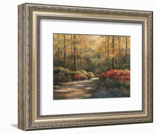 Autumn Trail-TC Chiu-Framed Art Print