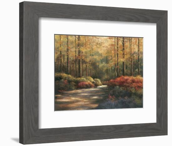 Autumn Trail-TC Chiu-Framed Art Print