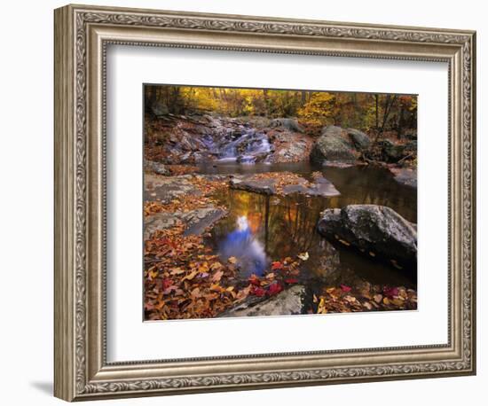 Autumn Tranquility, Upper Whiteoak Falls, Shenandoah NP, Virginia, USA-Jerry Ginsberg-Framed Photographic Print