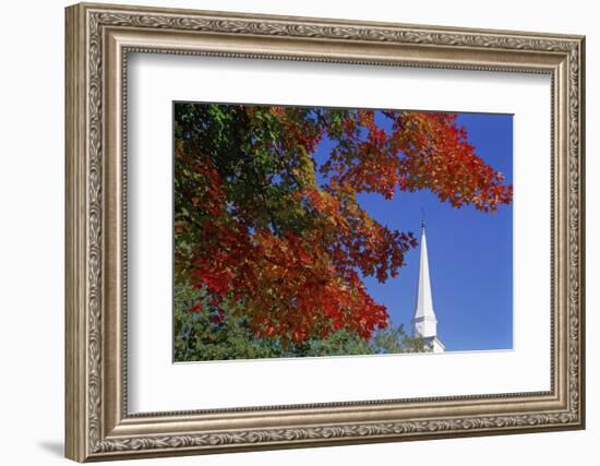 Autumn tree branch and church steeple, Vermont, USA-Panoramic Images-Framed Photographic Print