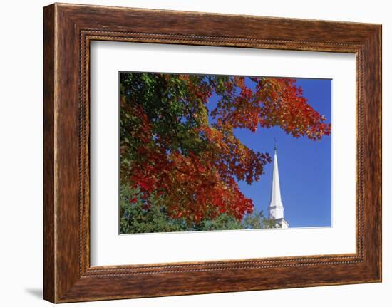 Autumn tree branch and church steeple, Vermont, USA-Panoramic Images-Framed Photographic Print