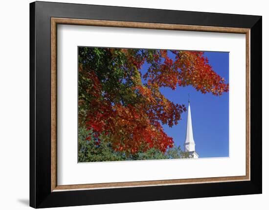 Autumn tree branch and church steeple, Vermont, USA-Panoramic Images-Framed Photographic Print