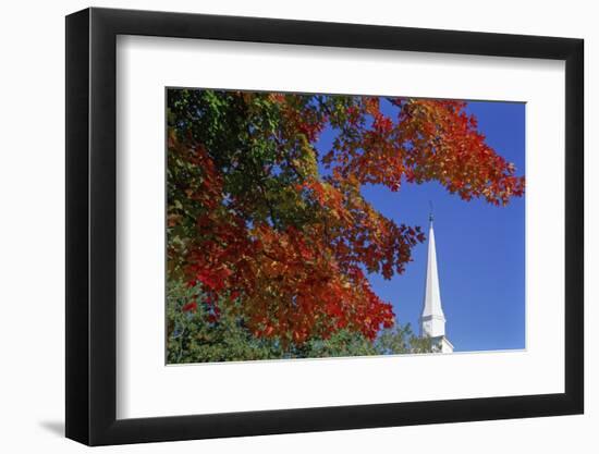 Autumn tree branch and church steeple, Vermont, USA-Panoramic Images-Framed Photographic Print