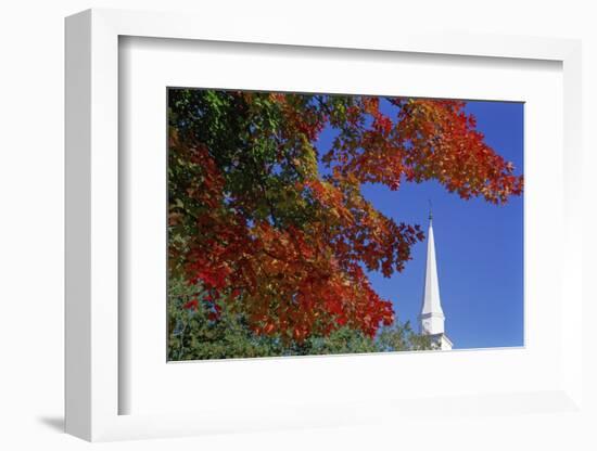 Autumn tree branch and church steeple, Vermont, USA-Panoramic Images-Framed Photographic Print