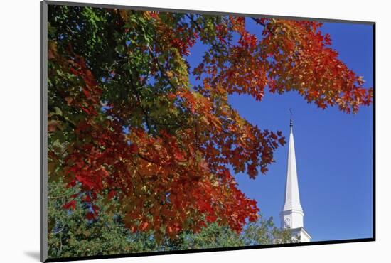 Autumn tree branch and church steeple, Vermont, USA-Panoramic Images-Mounted Photographic Print