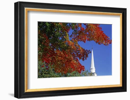 Autumn tree branch and church steeple, Vermont, USA-Panoramic Images-Framed Photographic Print