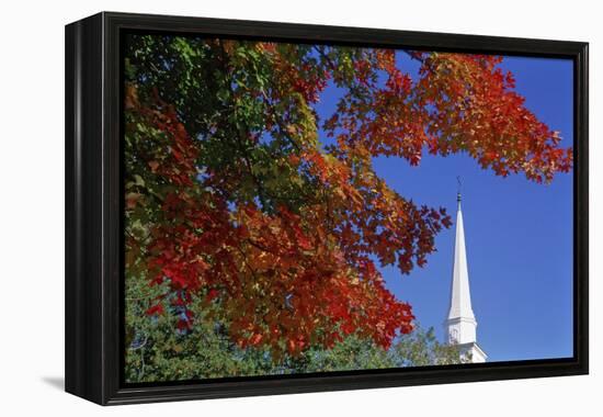 Autumn tree branch and church steeple, Vermont, USA-Panoramic Images-Framed Premier Image Canvas
