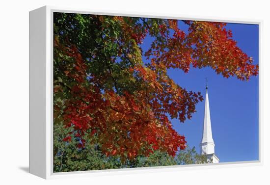 Autumn tree branch and church steeple, Vermont, USA-Panoramic Images-Framed Premier Image Canvas