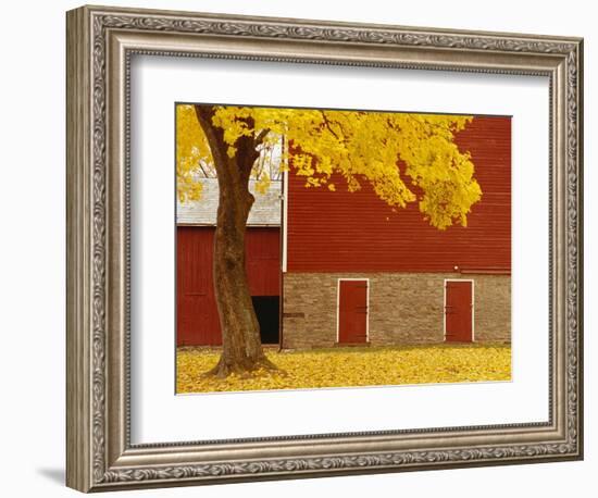 Autumn Tree by Red Barn-Bob Krist-Framed Photographic Print
