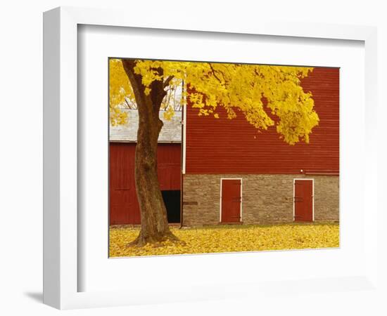 Autumn Tree by Red Barn-Bob Krist-Framed Photographic Print