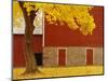 Autumn Tree by Red Barn-Bob Krist-Mounted Photographic Print