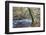 Autumn Tree by the River Nidd in Nidd Gorge Woods-Mark Sunderland-Framed Photographic Print