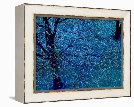 Autumn Tree in Blue, Green, and Purple-Robert Cattan-Framed Premier Image Canvas