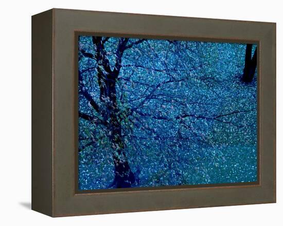 Autumn Tree in Blue, Green, and Purple-Robert Cattan-Framed Premier Image Canvas